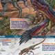 Naturstudien: Dinosaurier mit Federn