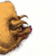 Schwein, anthropomorphe Illustrationen für Editorials