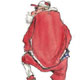 Weihnachtsmann, Illustration