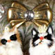 Scherenschritte im Mondschein, Objets trouves