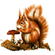 Eichhörnchen – eine Illustration aus einem Buch über Wildtiere