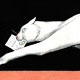 weiße Katze, Illustrationen