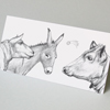Ochs, Esel und Schaf in Betlehem, gezeichnete Weihnachtskarten